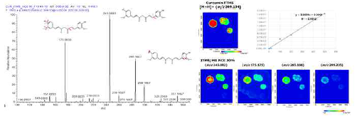 커큐민의 이미징 질량 분석 방법 조건 최적화