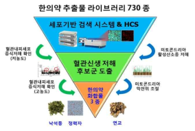 혈관신생을 저해하는 한의약 화합물 3종 (Voa, 정력자, 연교) 의 선정