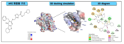 APZ 화합물과 표적 단백질 Hsp70 간의 결합 규명 및 검증
