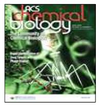 ACS Chemical Biology Cover Issue (2019)