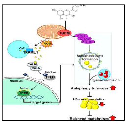 Communications Biology 논문 발표 (2021)