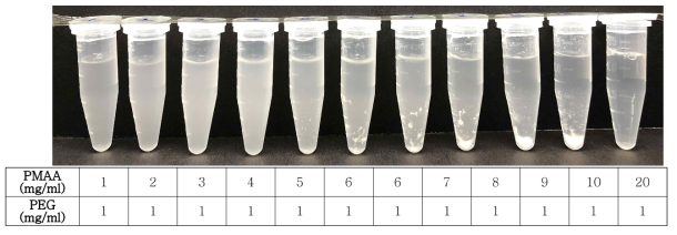 PMAA와 PEG, HCl에 의한 입자 형성