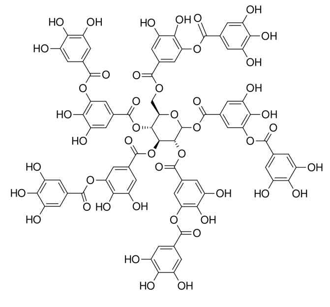 Tannic acid의 구조