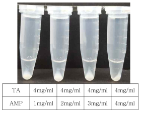 Tannic acid와 항균펩타이드를 섞은 뒤 원심분리를 통하여 입자 확인