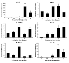 AvBD8 재조합 단백질 처라 후 cytokines과 chemokine의 발현