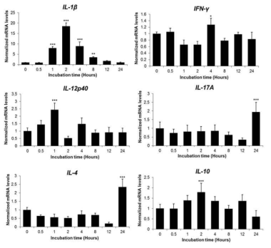 Effects of AvBD5 on cytokine production. HD11 were induced by AvBD5 (100 ng/mL) for 0, 0.5, 1, 2, 4, 8, 12, and 24 hours and expression of cytokines were measured by qRT-PCR. Expression levels were normalized to GAPDH. All culture conditions were tested in triplicate and data are expressed as mean ± SEM and are representative of three independent experiments: *p < 0.05, **p < 0.01, and ***p < 0.001