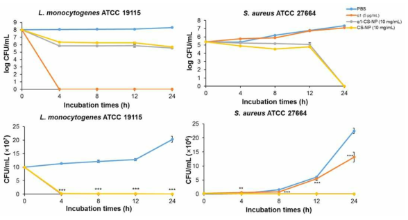 Gram positive bacteria에 대한 α1-CS-NP의 항균 효과 측정. L. monocytogenes ATCC 19115 와 S. aureus ATCC 27664에 PBS, α1 peptide, α1-CS-NP, CS-NP를 0, 4, 8, 12, 24 시간 동안 처리 후, colony counting assay를 통해 CFU 측정함. * p<0.05, ** p<0.01, and *** p<0.001