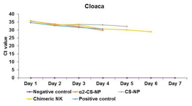 Cycle thereshold (Ct) value in cloacal swabs