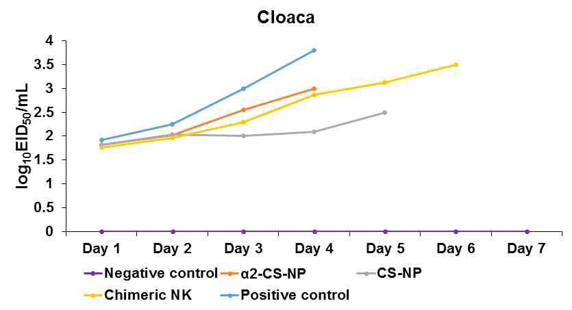 EID50 of cloacal swabs