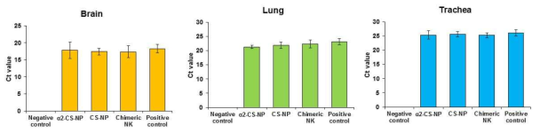 Cycle thereshold (Ct) value in brain, lung, and trachea tissues