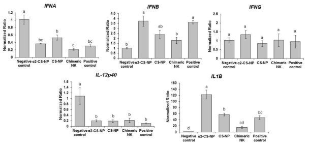 Expression of pro-inflammatory cytokines in lung