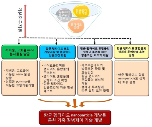 연구과제의 추진 전략