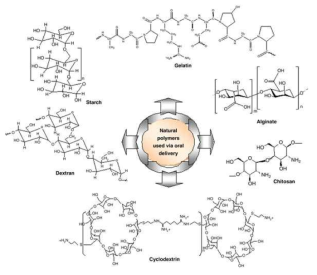 Natural Polymers