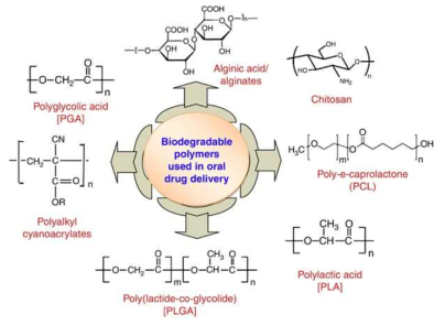 Biodegradable Polymers (Drug Discovery Today, 2014, 19(10), 1530)