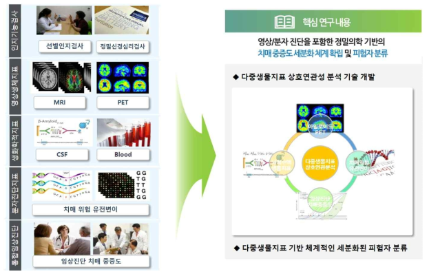 치매 중증도 세분화 체계 확립