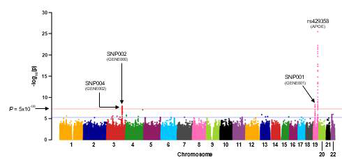 대뇌 아밀로이드 축적(SUVr)값과 연관분석의 유전변이(SNP)에 대한 Manhattan plot. 각 SNP에 대한 linear regression의 p-value를 표시하였음