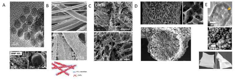 Various nano-scaffolds platform designed for the osteogenic differentiation and reprogramming: A. magnetic nanocomposite scaffold (Biomaterials, 2016), B. CNT-tethered nanofiber (Acta Biomater, 2020), C. Nanofibrous & porous scaffold (ACS Appl Mater, 2017), D. Hierarchical microchanneld scaffold (Biomaterials, 2020). E. Core-shell nanohybrids (Biomaterials, 2021)