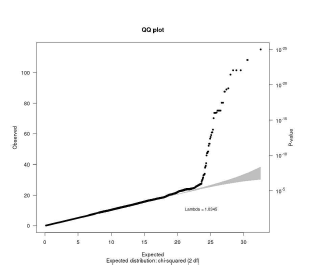 치매발병과 연관분석의 유전변이(SNP)에 대한 QQ plot