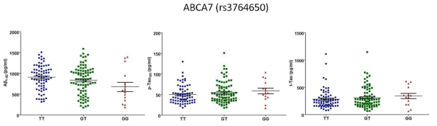 ABCA7 치매위험 유전변이의 유전형에 따른 CSF내 Aβ42, tTau, pTau 정량 그래프
