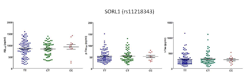SORL1 치매위험 유전변이의 유전형에 따른 CSF내 Aβ42, tTau, pTau 정량 그래프