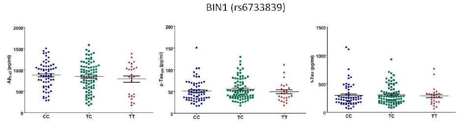 BIN1 치매위험 유전변이의 유전형에 따른 CSF내 Aβ42, tTau, pTau 정량 그래프