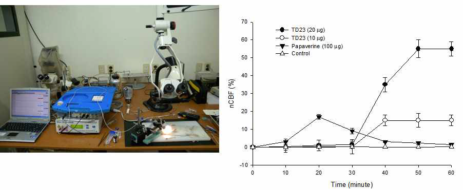 Cochlear blood flow (CBF) after intravenous administration of 15-PGDH inhibitor