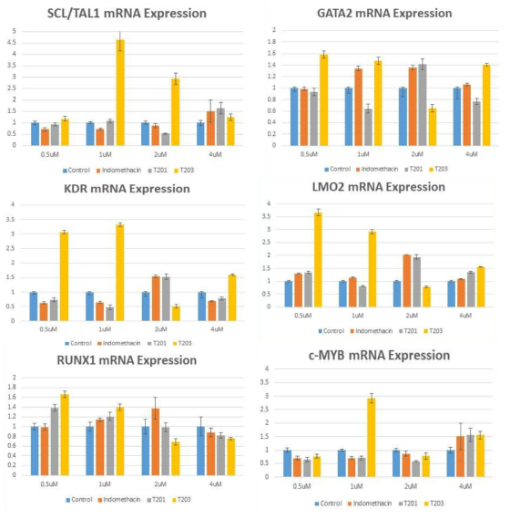 후보물질 처리 농도에 따른 LMO2, GATA2, RUNX1, SCL/TAL1, KDR, c-MYB 등의 mRNA의 발현정도