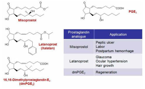 Prostaglandin derivatives