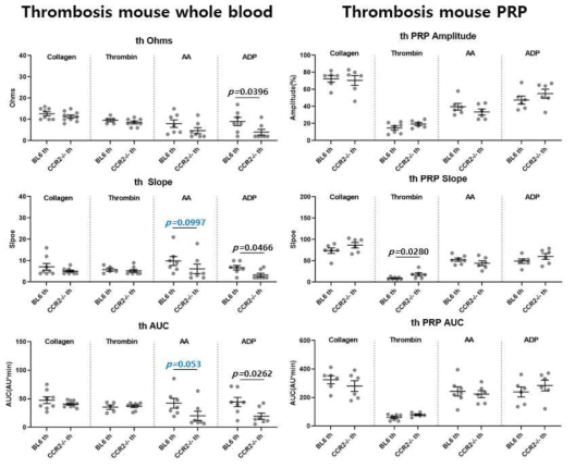 혈전 유발 CCR2 knock out 생쥐 및 C57BL/6 생쥐의 whole blood / PRP에 대한 혈소판 기능검사 결과