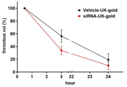 Vehicle-UK-gold / CCR2 siRNA-UK-gold 처리 후 혈전용해도 비교 분석 결과