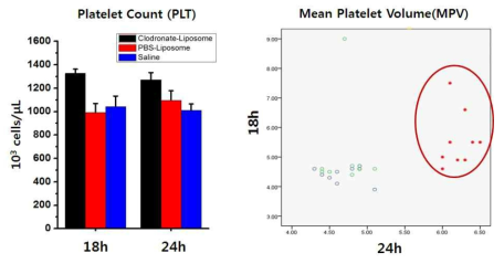 Clodronate-liposome, PBS-liposome 또는 saline 주입 후, 18시간, 24시간대의 Platelet count와 평균 혈소판 용적(MPV) 비교