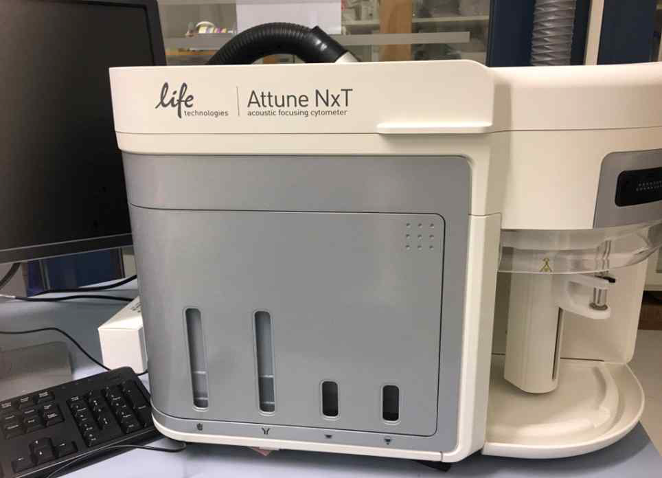 Attune NxT Acoustic Focusing Cytometry (Thermo Fisher)