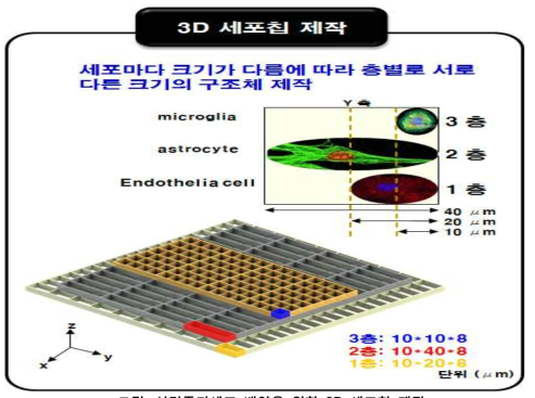 신경줄기세포 배양을 위한 3D 세포칩 제작