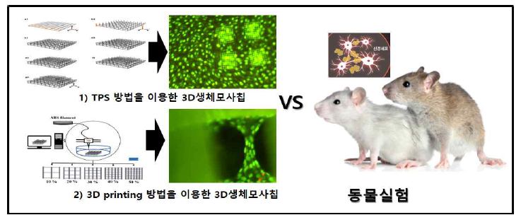 제작한 세포칩과 동물실험 비교 분석