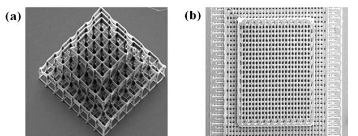 (a) Two-photon sterelithography 기반 구조체, (b) 3D Bioprint 기반 구조체의 SEM 이미지