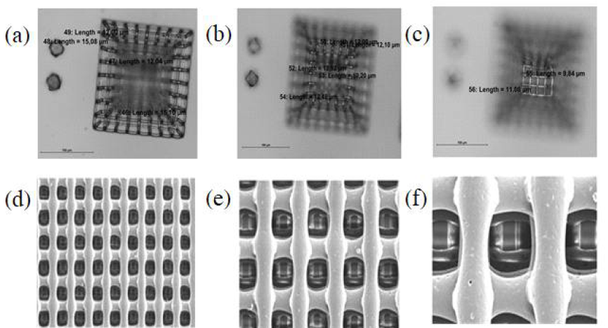 (a-c) wo-photon sterelithography 기반 구조체, (d-f) 3D Bioprint 기반 구조체의 SEM 이미지