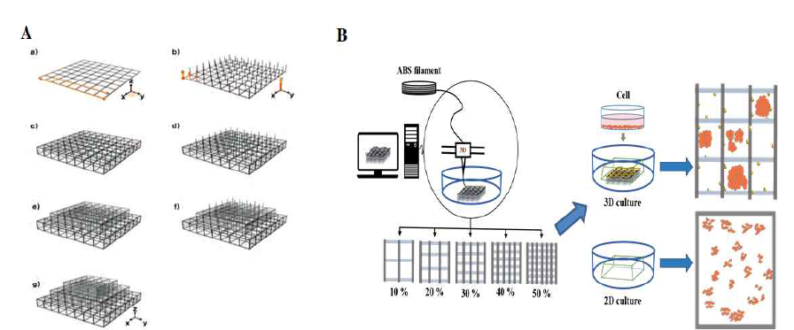 A) Two-photon stereolithography(TPS) 로 제작한 3D 구조체, B) 3D printer로 제작한 3D 구조체를 통한 세포 고정화