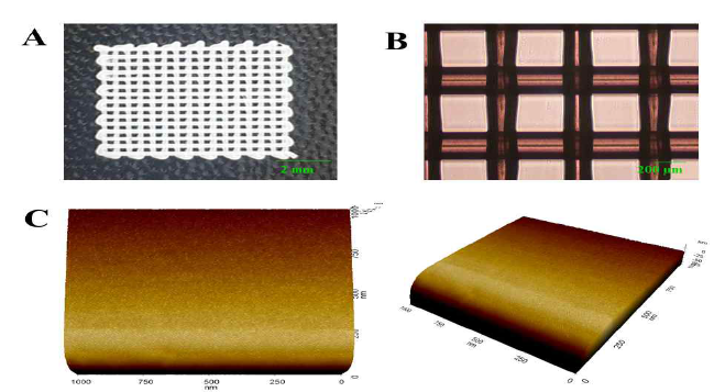 3D PLA 세포칩의 사진(A), 광학이미지(B) 및 AFM 이미지(C)