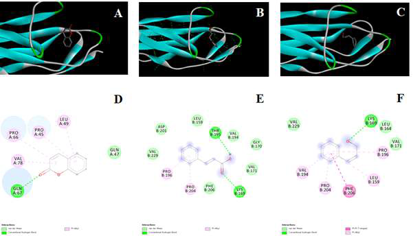 A-C) Computational structures of active compound-human RAGE complexes (Colored by atom: Compound [black-carbon, white-hydrogen, Red-oxygen], hydrogen bonds are indicated as green dotted lines. D-F) 2D site interactions (A, D: coumarin, B, E: trans-cinnamic acid, C, F: cinnamaldehyde)