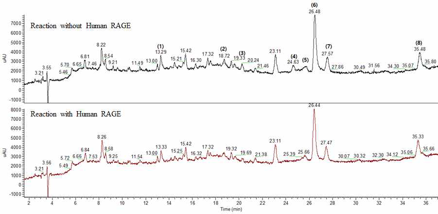 Screening of RAGE inhibitors in Agrimonia pilosa Ledeb using by ultrafiltraion of RAGE at 254nm