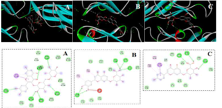 2D site interactions of active compounds-human RAGE complex. A: Rutin, B: Luteolin-7-o-glucuronide, C: apigenin-7-o-glucuronide