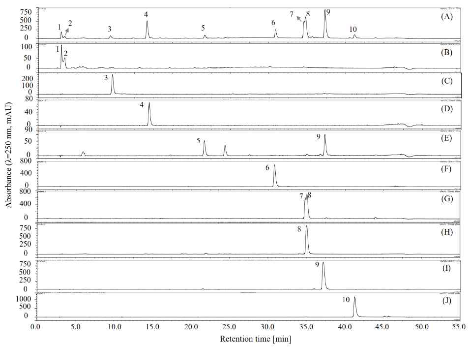 HPLC chromatograms of the separated or fractionated compounds from 70% methanol extract of M. volcanica by polarity-stepwise elution CCC. (A) HPLC chromatogram of the 70% methanol extract of M. volcanica; (B–J) HPLC chromatograms of the separated or fractionated compounds by polarity-stepwise elution CCC. Moreover, the separated compounds are later identified as shikimic acid (2), gallic acid (3), protocatechuic acid (4), 4,4′-dihydroxy-3,3′-imino-di-benzoic acid (6), miquelianin (7), rutin (8), quercitrin (9), and quercetin (10)