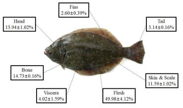 넙치 부위별 수율 검토