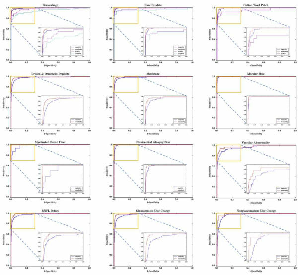 망막에서 관찰되는 이상소견들에 대한 각각의 분류모델을 개발하여 보고함 (Son et al. Ophthalmology. 2020)