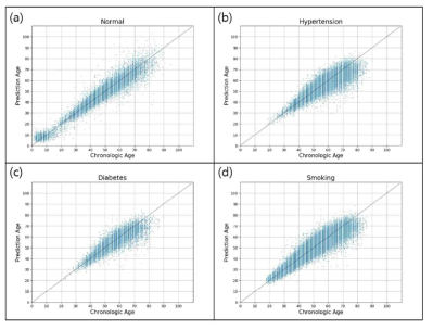 고혈압, 당뇨, 흡연력이 없는 환자에서 나이를 예측하는 모델을 만든 후 추가로 고혈압군, 당뇨군, 흡연군에서의 성능 평가 결과. X축이 실제 환자의 나이, Y축이 모델이 예측한 나이임
