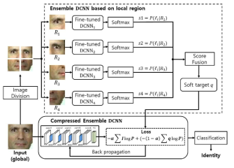 얼굴인식 성능을 개선하기 위해 지역 얼굴 영역을 기반으로 하는 앙상블 DCNN에서 압축된 앙상블 DCNN으로 지식 전파를 하는 제안된 얼굴 인식 프레임워크의 개요