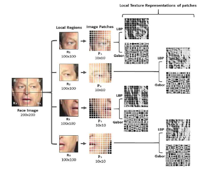 패치 기반 지역 텍스처 기술자 추출 예시. 얼굴 영상은 지역 영역으로 분할 된 다음 패치 영역에 대해 LBP 및 Gabor 텍스처 표현 추출