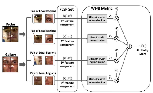 제안된 WFJB 메트릭 및 PLSF 집합을 사용하여 프로브와 갤러리 얼굴 간의 최종 유사성 점수(final similarity scores)를 계산하는 프로세스 시각화