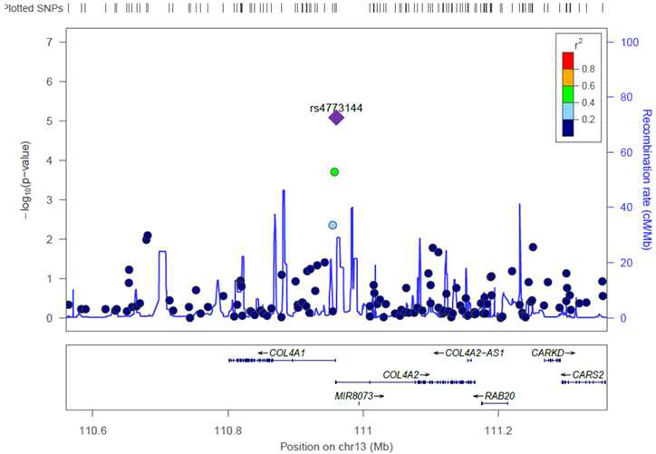 크로모좀 13에서 COL4A1-COL4A2의 Regional association plot