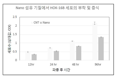 나노섬유 기질위에서 치은 상피세포의 부착(12 및 24 hr) 및 증식 (48 및 96 시간)